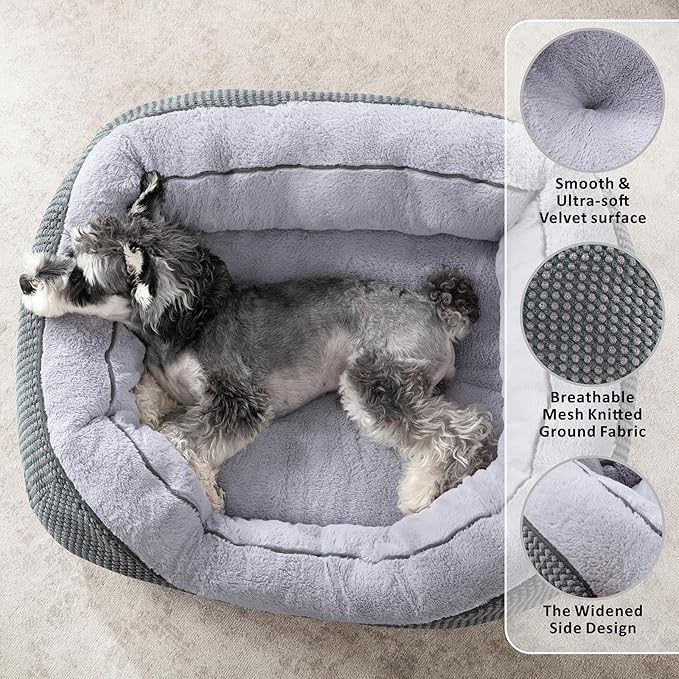 INVENHO Dog Bed for Small Dogs - Image 2