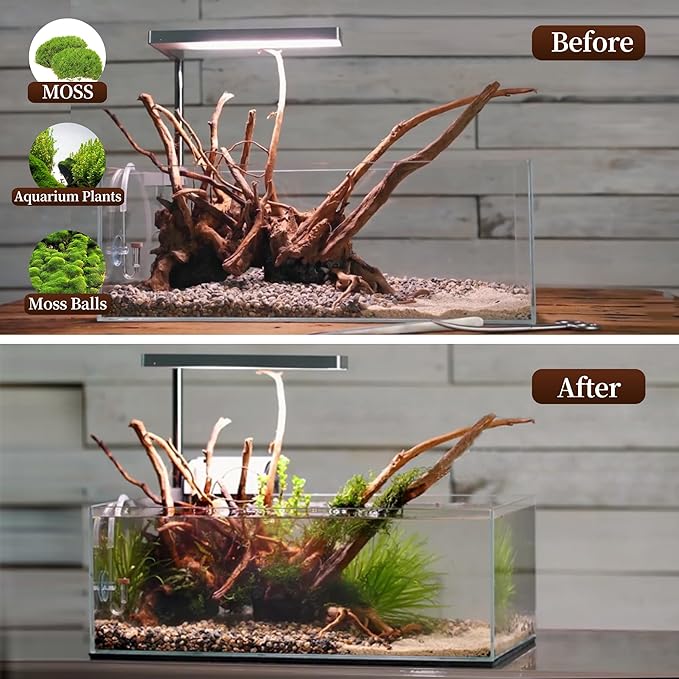 majoywoo Natural Driftwood for Aquarium Decor Fish Tank Decorations, Reptile - Image 5
