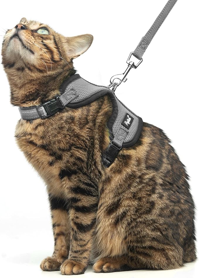 PUPTECK Cat Harness and Leash Set Escape Proof, Reflective Adjustable Soft Mesh by PUPTECK