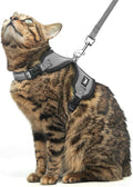 PUPTECK Cat Harness and Leash Set Escape Proof, Reflective Adjustable Soft Mesh by PUPTECK