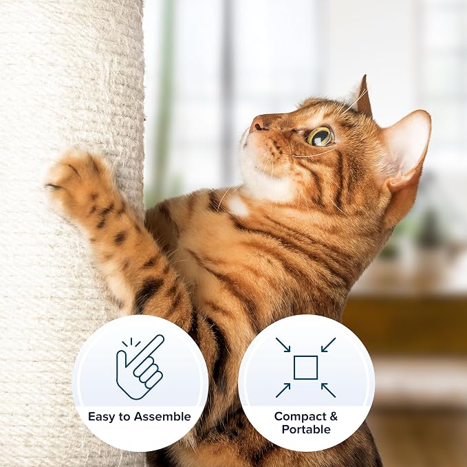 19-Inch Cat Scratching Post - Image 3
