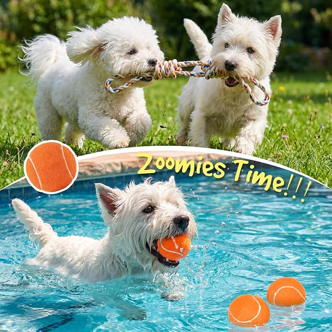14Pcs New Puppy Gift Basket, Complete Premium Welcome Puppy Starter Kit and Dog - Image 5