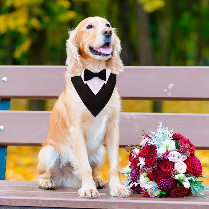 ADOGGYGO Formal Dog Tuxedo, Wedding Dog Collar - Image 2