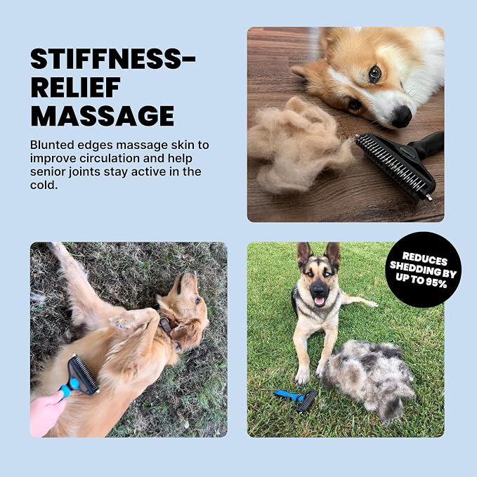 MalsiPree Dog Brush - Image 8