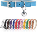 XXS Dog Collar for Teacup Adjustable Teacup Dog Collar for Small Medium Large by Engorgio