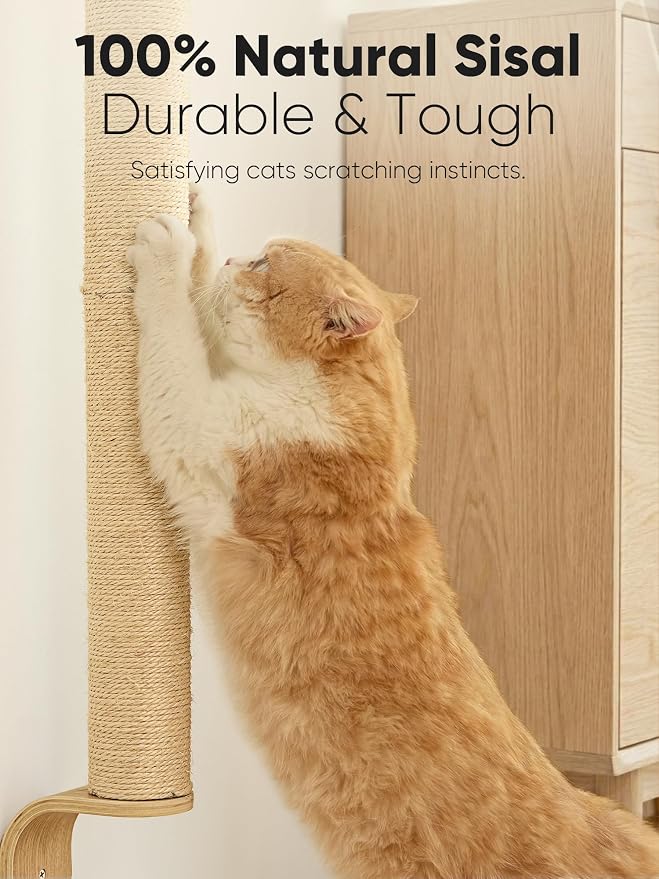 FUKUMARU Cat Wall Scratcher, Sturdy Sisal Climbing Tree - Image 2