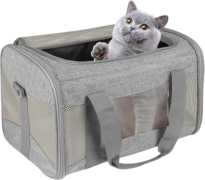 Cat Carrying Case by home