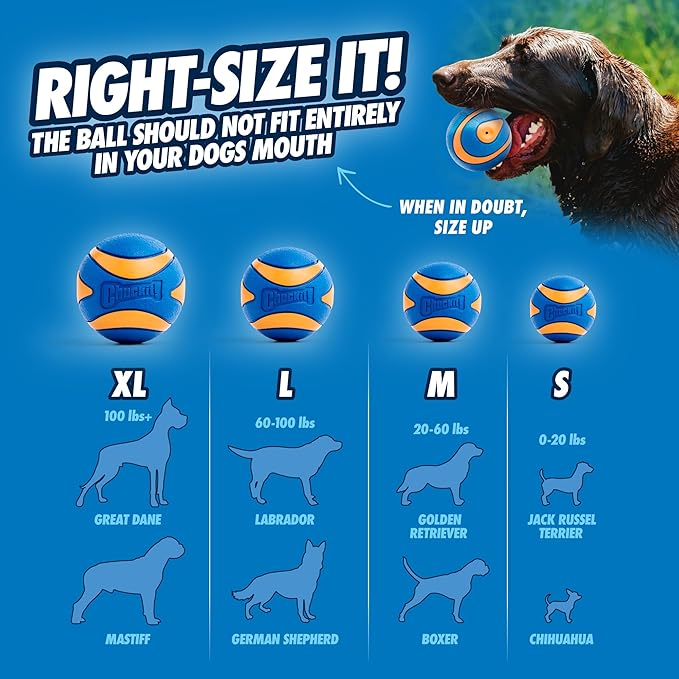 Chuckit! Ultra Squeaker Balls for Dogs, Floating Water Pet Toys, Durable Rubber - Image 4