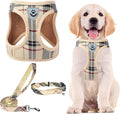 PUPTECK Adjustable Pet Harness Collar &Leash Set Step in by PUPTECK