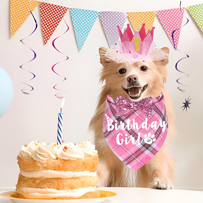 Dog Birthday Party Supplies - Image 7