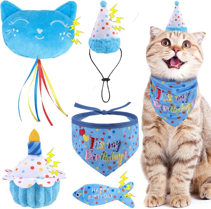 BINGPET Cat Birthday Catnip Toys by BINGPET