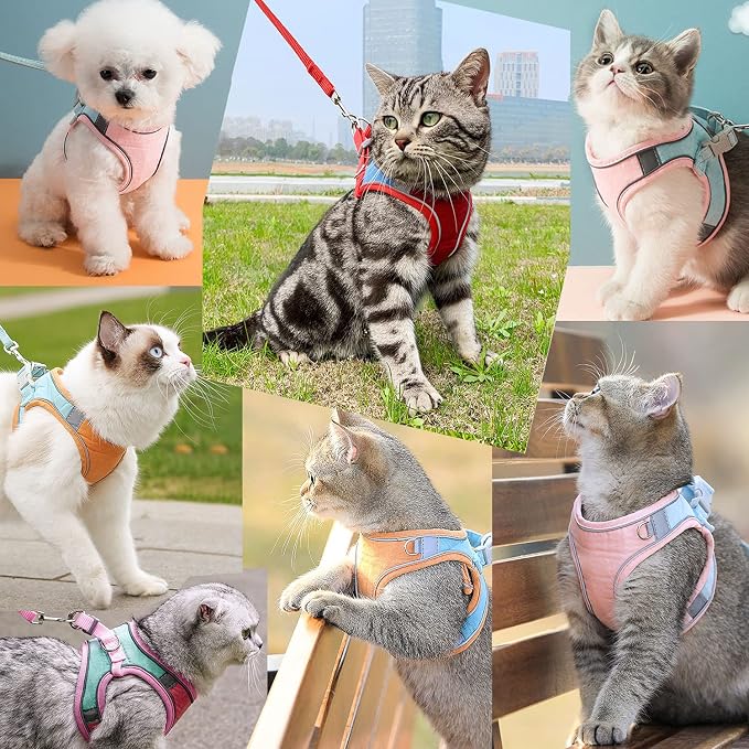 JSXD Cat Harness, Leash and Collar Set, Escape Proof Kitten Vest Harness - Image 2