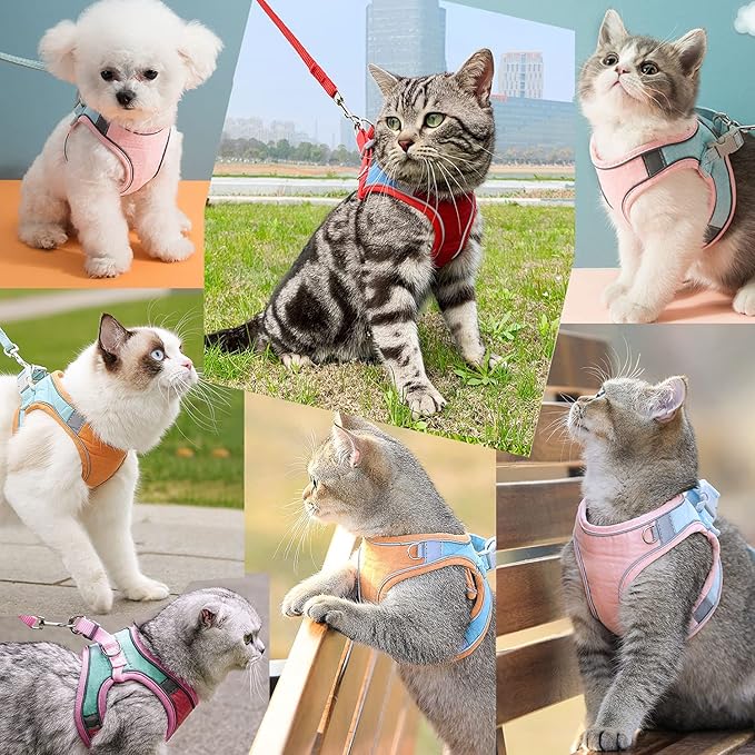 JSXD Cat Harness, Leash and Collar Set, Escape Proof Kitten Vest Harness - Image 2