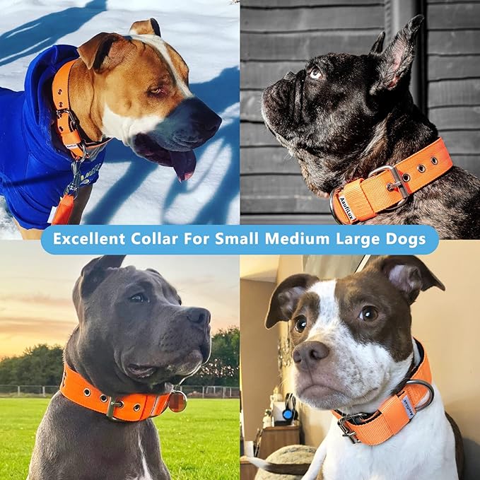 Heavy Duty Tactical Dog Collar - Image 2