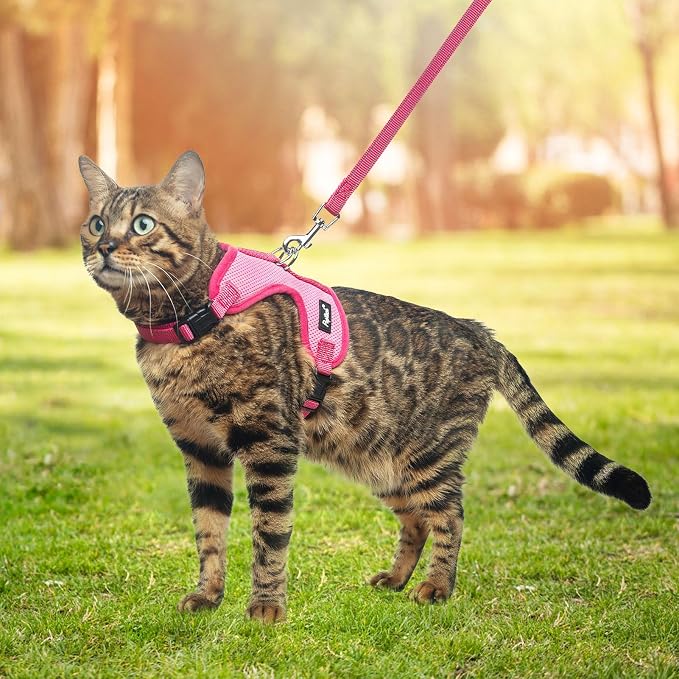 PUPTECK Cat Harness and Leash Set Escape Proof, Reflective Adjustable Soft Mesh - Image 6