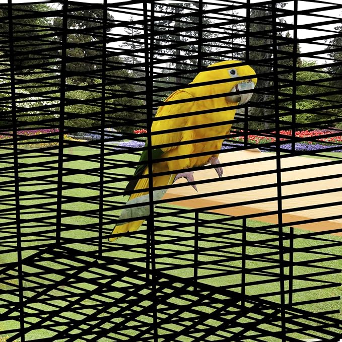 4 Pack 5 x 12 Inches Bird Perches - Image 6