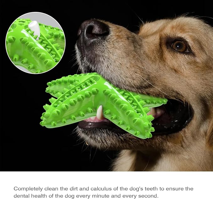 Chew Toy for Dog Toothbrush Stick Dog Toys for Aggressive Chewers Interactive - Image 5