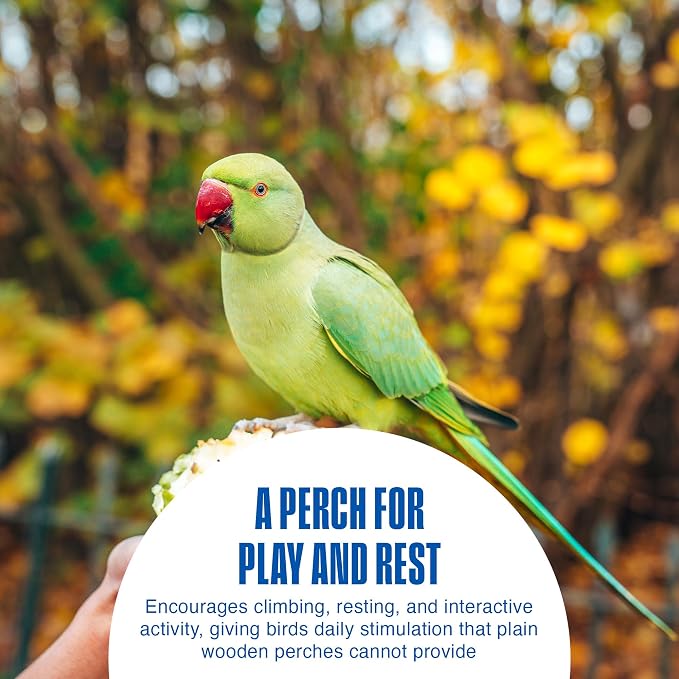 Penn-Plax Bird-Life Cement Trimmer-Perch, Naturally Trims Nails & Beak - Image 3