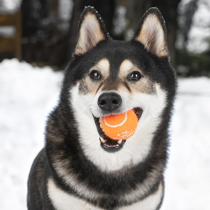 Best Pet Supplies Interactive Squeaky Dog Chew Toy, Ideal Dog Toys - Image 8
