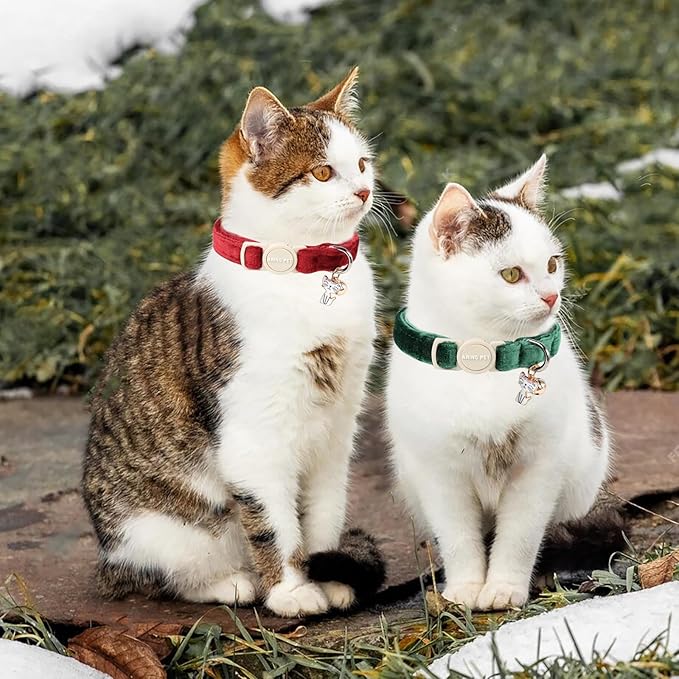 ARING PET 2 Pack Cat Collars-Cute Breakaway Cat Collar - Image 4