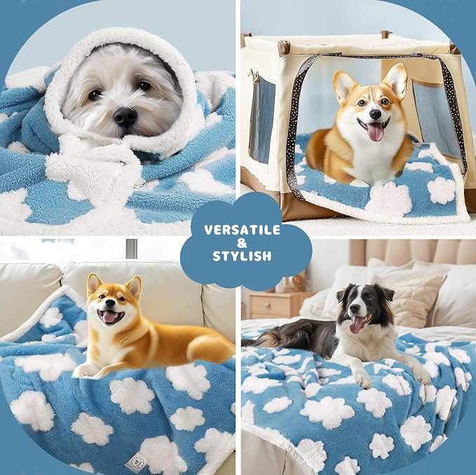 Luciphia Waterproof Pet Blanket - Image 4