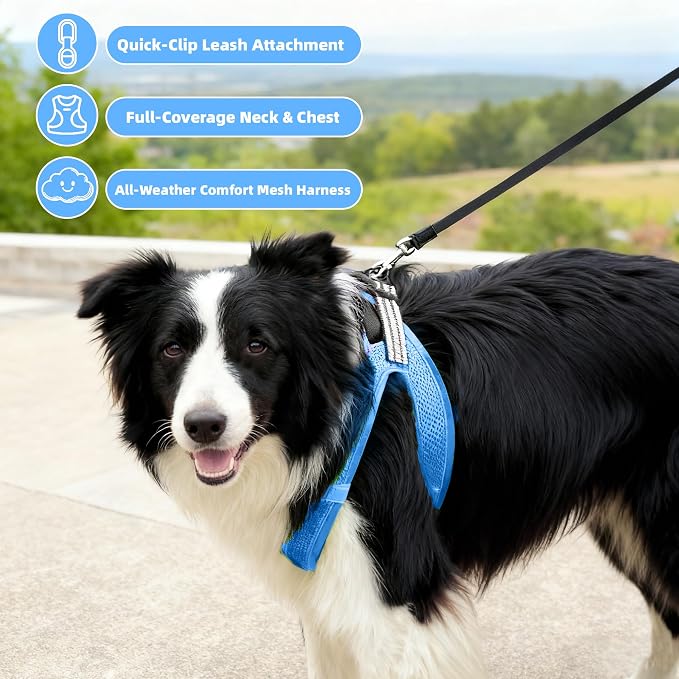 ROYPET Step-in Air Dog Harness, All Weather Mesh Step in Vest Harness - Image 3