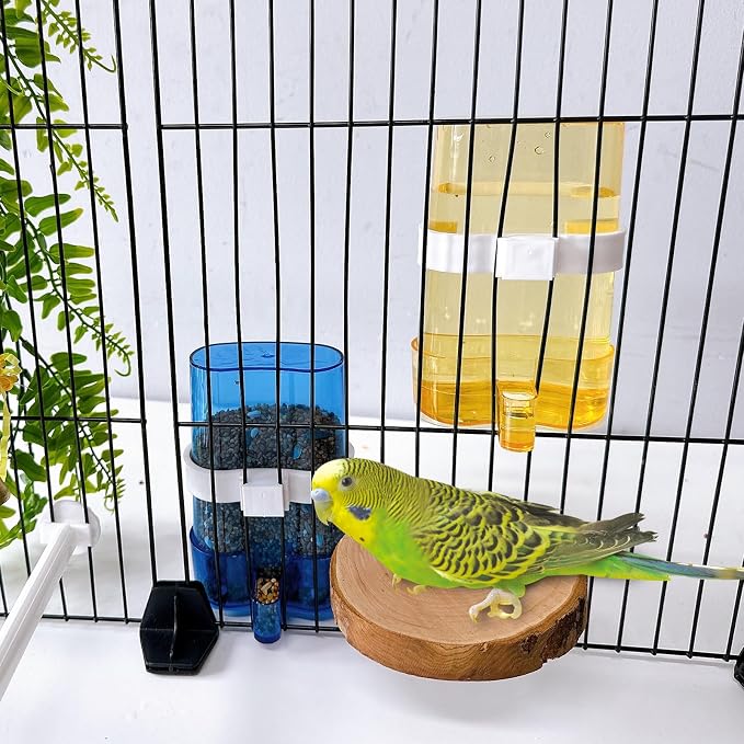 Parakeet Water Dispenser Parrot Water Feeder Bird Seed Container - Image 4