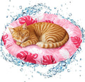 Pet Cooling Mat for Cats and Small Dogs, 20.1'' x 20.1'' Thickened Round Pink by Drydiet