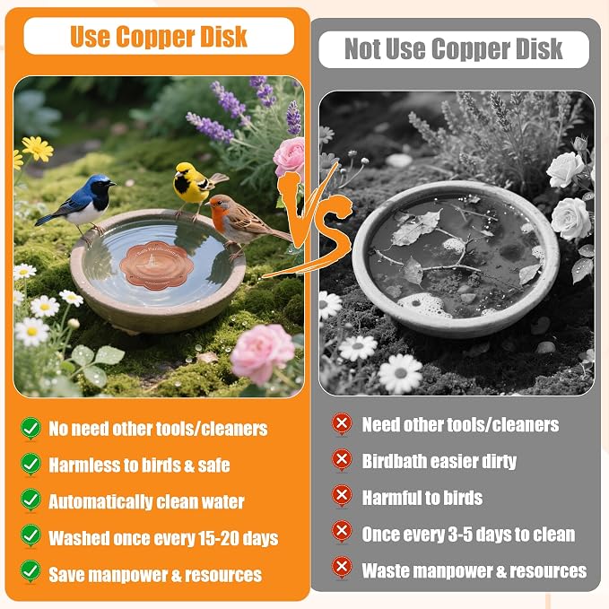 1P 4inches Bird Bath Purification Disk, 99.99% Pure Copper Bird Bath Disc Safe - Image 6