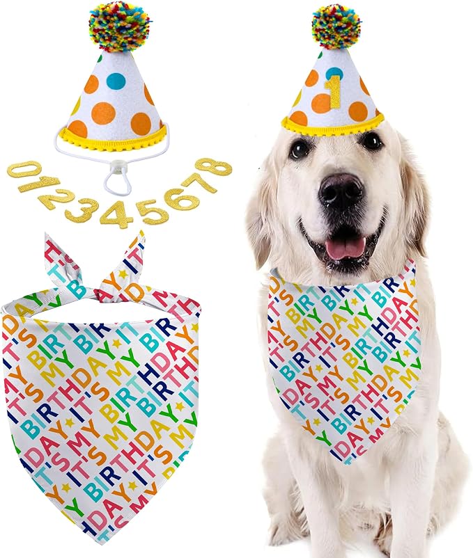 Dog Birthday Bandana Set, It's My Birthday Dog Scarfs, Pet HBD Party Decor by GHSJYOHomeDecoration