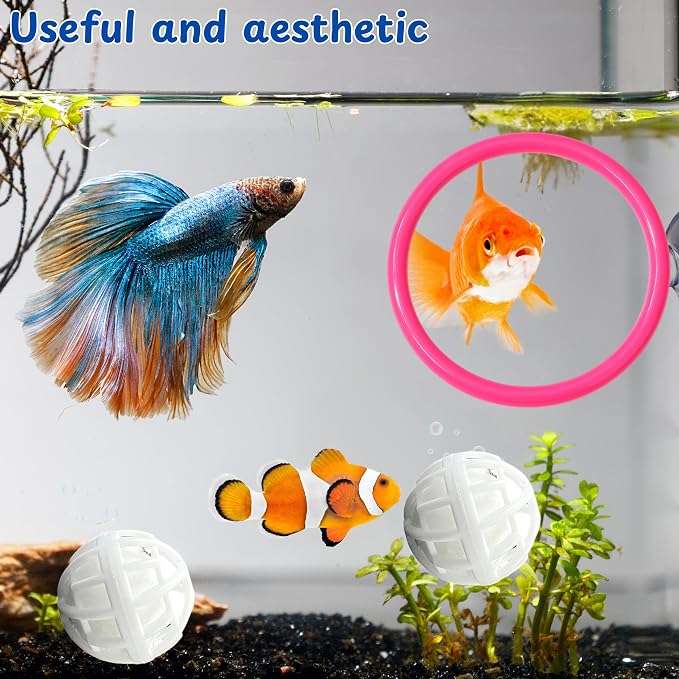 Betta Ring Enrichment Toys - Image 3