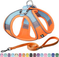 AIITLE No Pull Dog Harness and Leash Set, Step in Adjustable Dog Harness by AIITLE-FORPETSBETTERLIFE