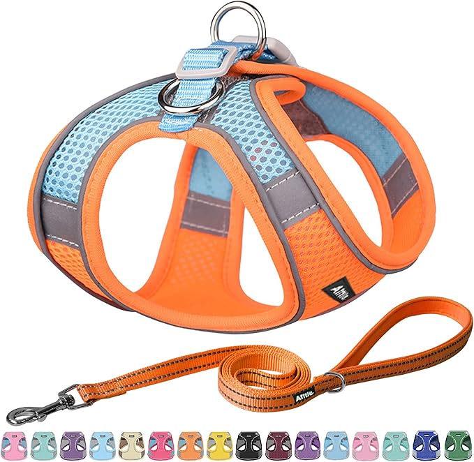 AIITLE Step in Dog Harness and Leash Set by AIITLE-FORPETSBETTERLIFE