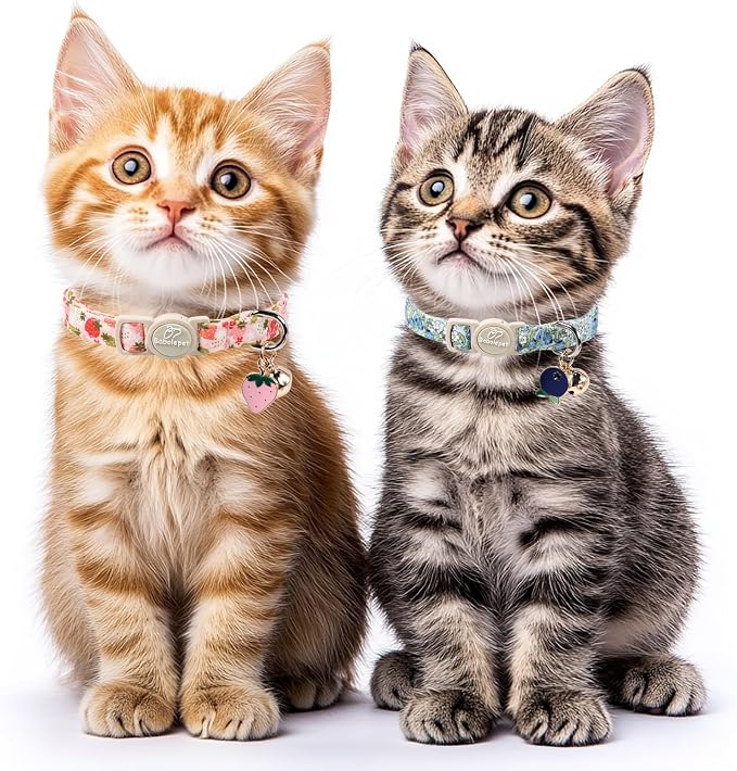 2 Pack Spring Summer Cat Collars - Image 2
