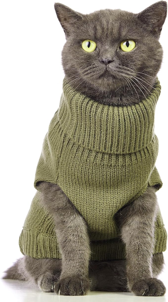 Stretchy Cat Sweater - Image 3