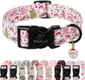 Christmas Dog Collar for Medium Dogs by Babolepet