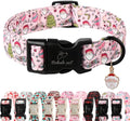 Christmas Dog Collar for Large Dogs by Babolepet