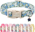 Blueberry Pattern Dog Collar, Cute Light Blue Spring Summer Puppy Collar by Babolepet
