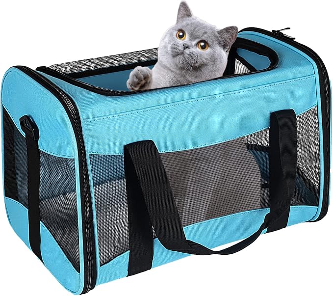 Cat Carrying Case by home