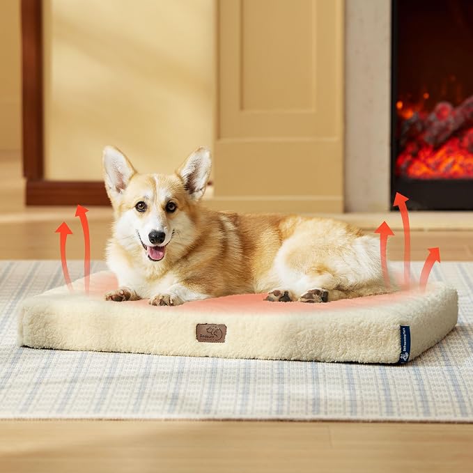 Bedsure Self Warming Dog Bed for Medium Dogs - Image 6
