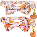 Faygarsle 2 Pack Fall Pumpkin Cat Collar by Faygarsle