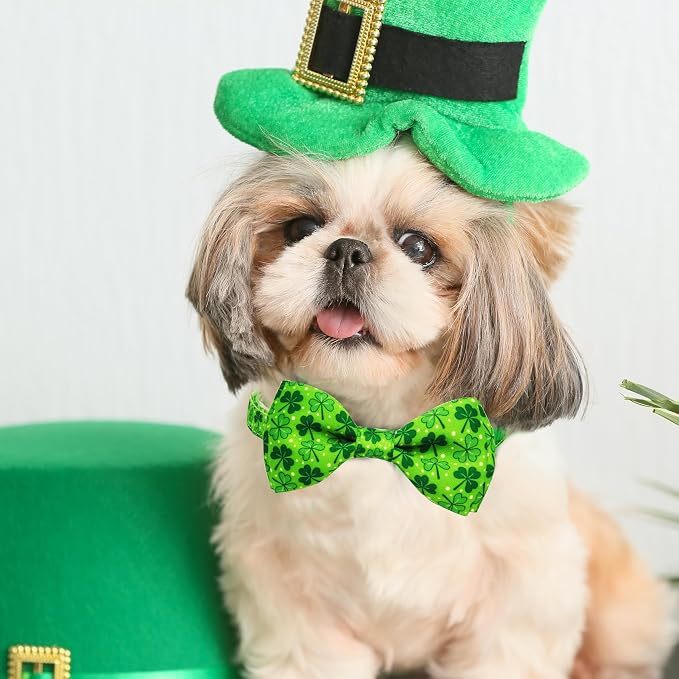 St. Patrick Day Dog Collar Adjustable Puppy Collar - Image 4
