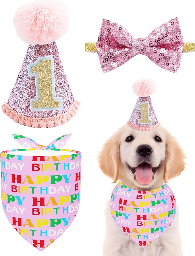 PET SHOW Small Dog Birthday Party Hat by PETSHOW