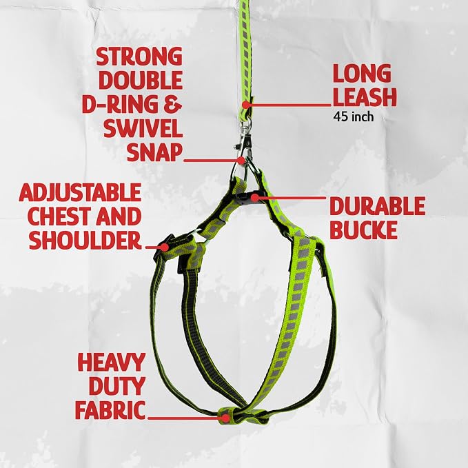 Filbert Cat Harness and Leash Set - Image 5