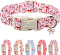 Girl Dog Collar for Large Dogs by Babolepet