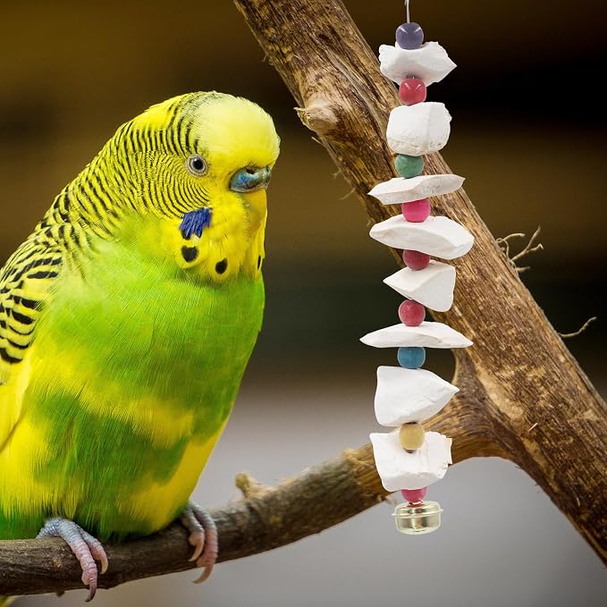2 Pack Bird Toys with Cuttlebone, Parakeet Toys, Bird Beak Grinding Stone - Image 6