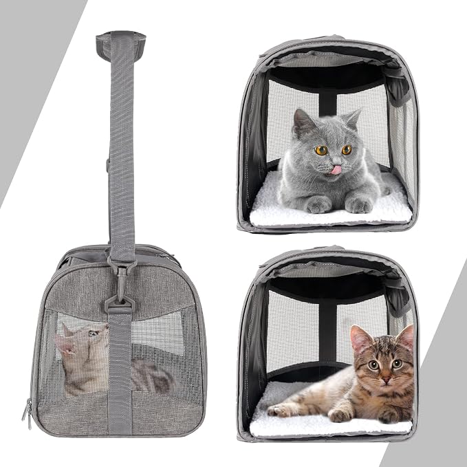 Cat Carrying Case - Image 4