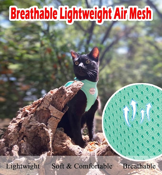 Cat Harnesses and Puppy Harness - Image 2