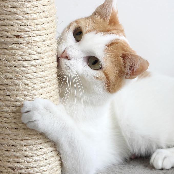 4-Tier Round Cat Tower - Image 5