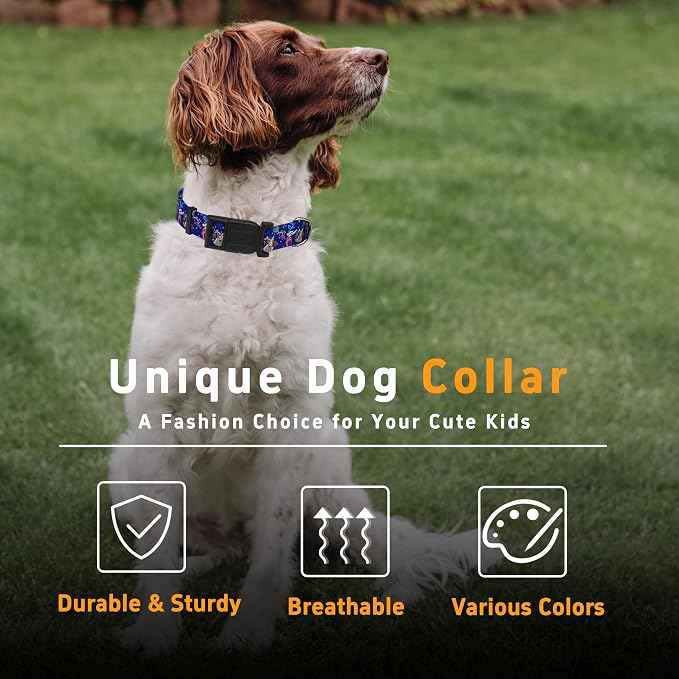 Dog Collar, Classical Birthday Gift Boys Girls Puppy Collar